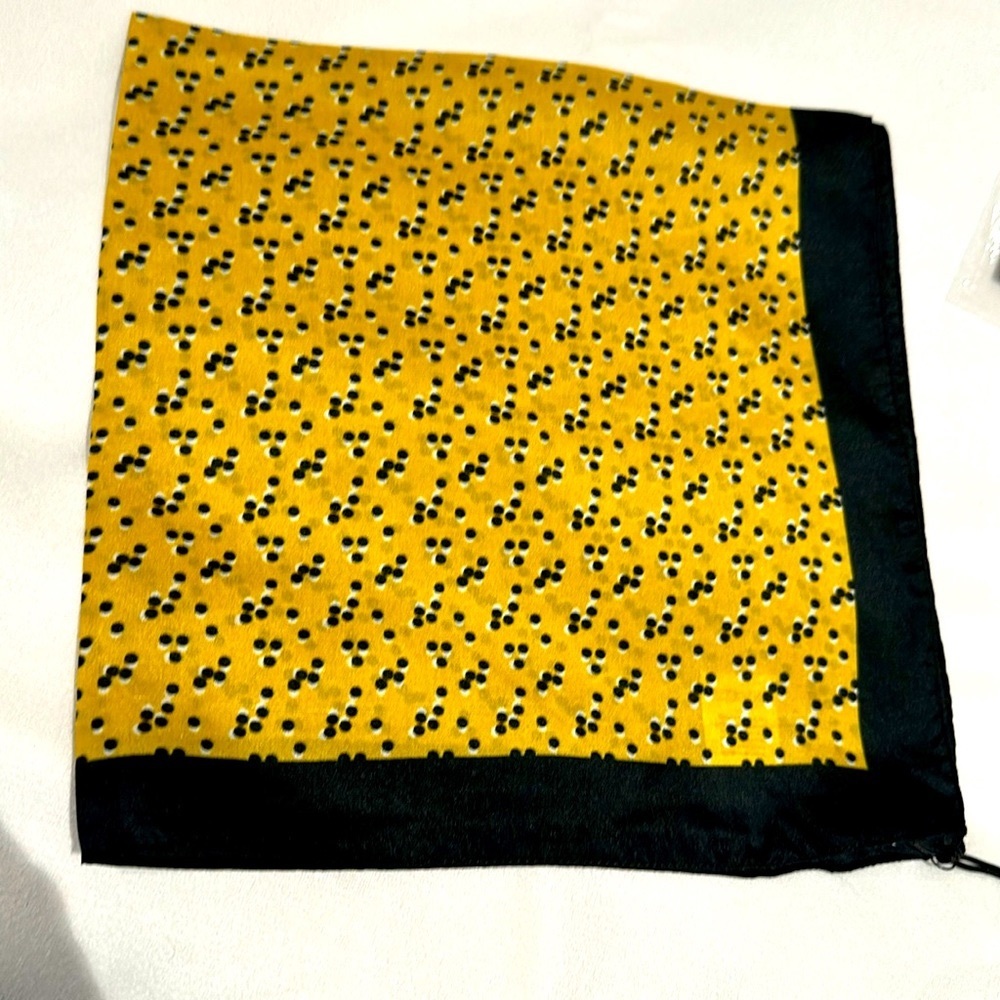 Able Silk Scarf